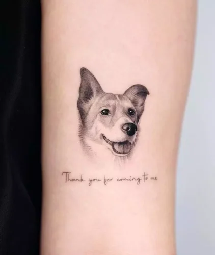 Mejores Tatuajes de Perros