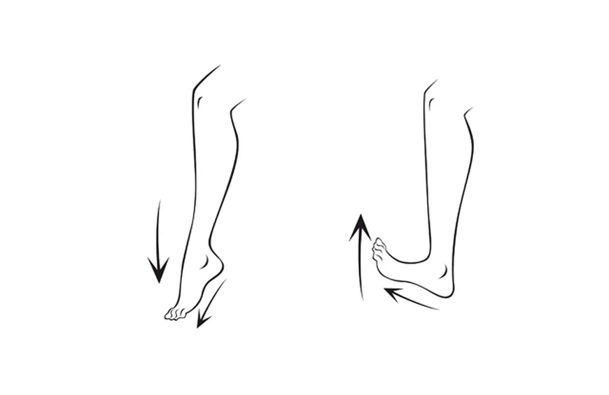 Ejercicios de Movilidad