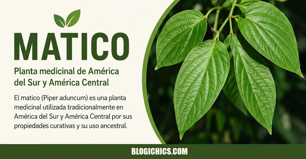 Matico