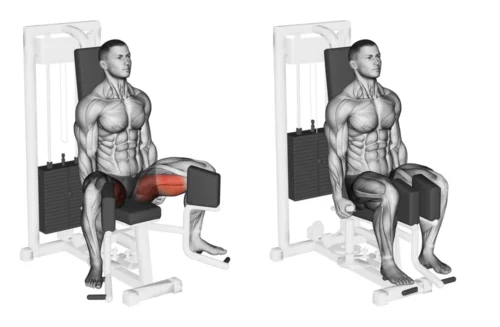 Ejercicios para Aductores