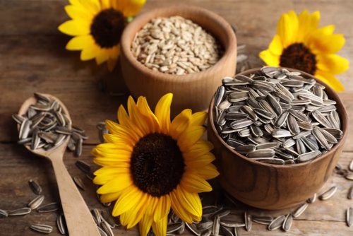 Semillas de Girasol